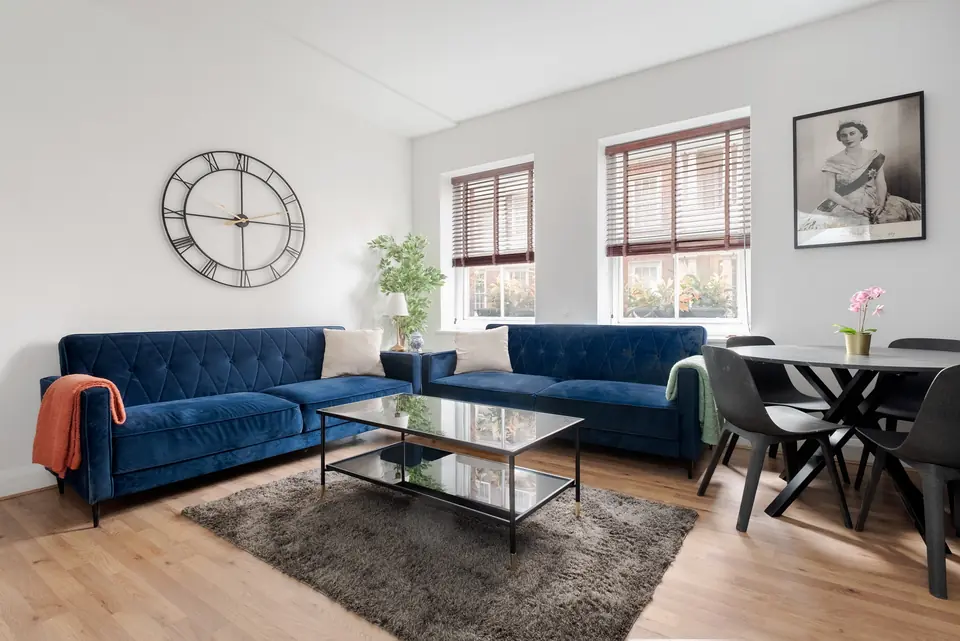 Living room with navy velvet sofas